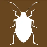Midwest Stink Bug icon
