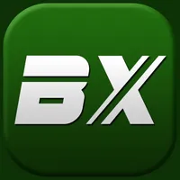 Bursasporx icon