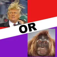 Trump or Monkey icon