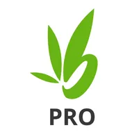 Bamboo Pro icon