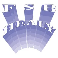 FSB Healy icon