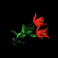 Escape Game: Red Flower icon