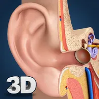 My Ear Anatomy icon