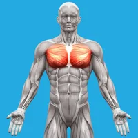 Muscle System Anatomy icon