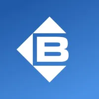 Berner Air App icon