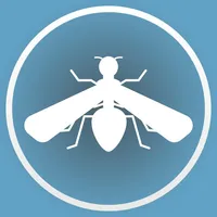 Drosophila Assay Assistant icon