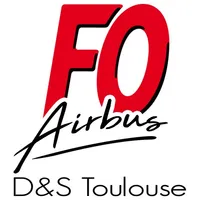 FO D&S Toulouse icon