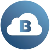 Brinks Cloud icon