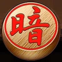 黑暗棋魂 icon