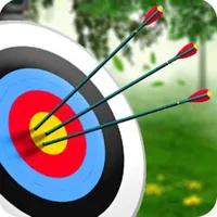 Archery Master Target Shooter icon