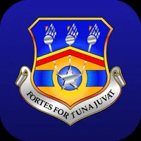 123d Airlift Wing icon