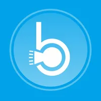Bozzys Padlock icon