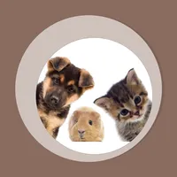 Pet Detective icon