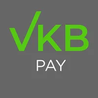 VKB-PAY icon