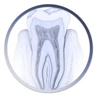 Atlas Odontología icon