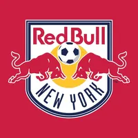 New York Red Bulls icon