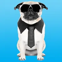 Pug Life icon