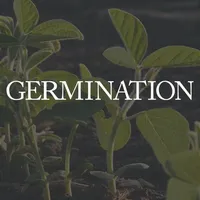 Germination icon