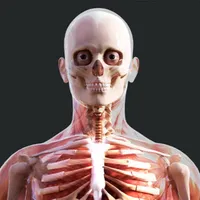 Human Anatomy 4D-Mixed Reality icon