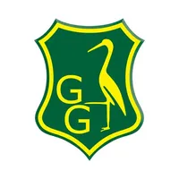 H.C.C. Groen-Geel icon