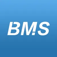 WiseBMS icon