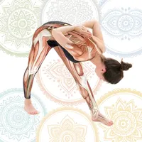 Anatomy & Yoga AR icon