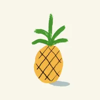 Sonder Aloha icon