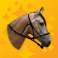 Neigh Pro - Horse Sounds icon