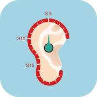 Ear Scale icon