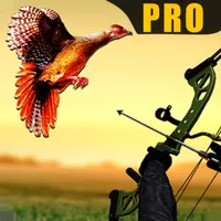 Pheasant Bow Hunting Pro icon