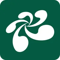 云屋小班课 icon