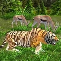 Wild Tiger Simulator icon