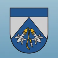 Ziņo Ādažos icon