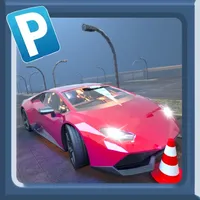 Car Parking - Pro Driver 2021 icon