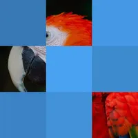 Bloxels - Guess The Pic icon