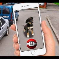 Pocket Dogs GO AR icon