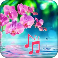 Stay Calm - Relaxing Melodies icon