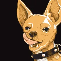 Chihuahua Cerveza icon