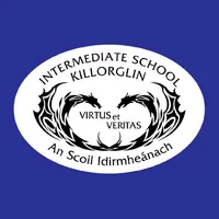 The Intermediate school icon