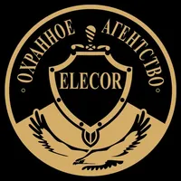 Тревожная кнопка ОА Elecor icon