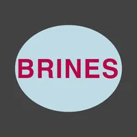 Brines icon