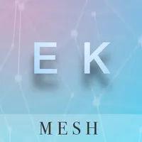 XTMesh EK icon