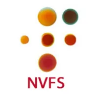 NVFS icon