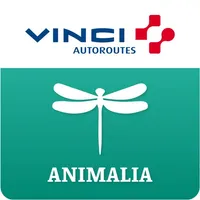 ANIMALIA by VINCI Autoroutes icon