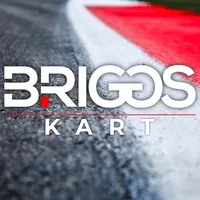 Briggs Kart Championship icon