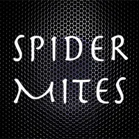 SPIDER MITES icon