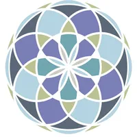 DaVinci Academie VR icon
