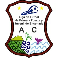 Liga Primera Fuerza Ensenada icon