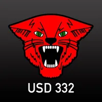 USD 332 icon