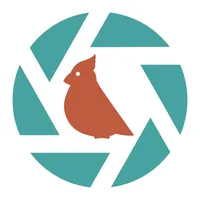 Sparkbird icon